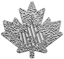 2024 Canadian Silver Maple Leaf Coin 1oz