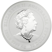 1kg Lunar Silver Coin