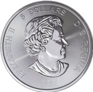 Second Hand 1oz Silver Coin Canadian Mint