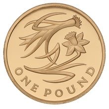 2013 Proof Gold £1 Pound Coin Wales Floral Boxed