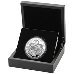 2025 Royal Mint 5oz Year of the Snake Proof Silver Coin Boxed