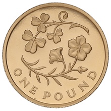 2014 Proof Gold £1 Pound Coin Northern Ireland Floral