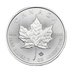 2021 1oz Canadian Maple Silver Coin