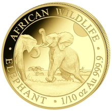 2024 1/10oz African Wildlife Elephant Gold Coin