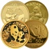 3g Chinese Panda Gold Coin 2016-Present Best Value