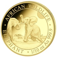2024 1/10oz African Wildlife Elephant Gold Coin