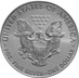 1988 1oz American Eagle Silver Coin