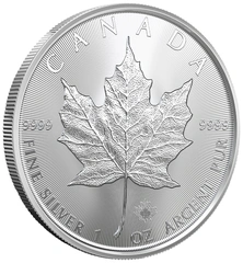 2026 Canadian Silver Maple Leaf Coin 1oz