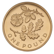 Gold Proof 2013 £1 One Pound England Floral