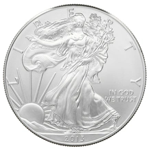 2013 American Silver Eagle Coin 1oz