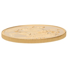 1982 Proof £2 Coin Gold Double Sovereign