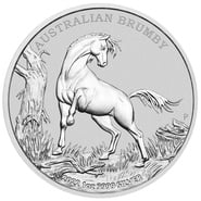 Australian Silver Brumby