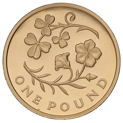 2014 Proof Gold £1 Pound Coin Northern Ireland Floral