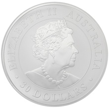 2020 Australian Koala Silver Coin 1kg