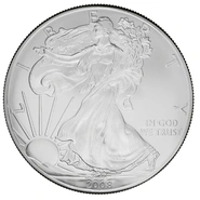 2008 American Silver Eagle Coin 1oz