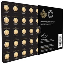 2025 MapleGram 25 x 1g Gold Coins