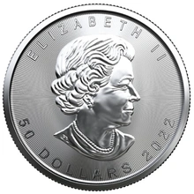 2022 1oz Canadian Maple Leaf Platinum Coin