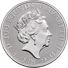 2020 Platinum Britannia Coin 1oz