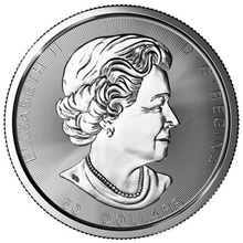 2021 10oz Canadian Silver Magnificent Maple Leaf Coin