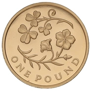 2014 Proof Gold £1 Pound Coin Northern Ireland Floral