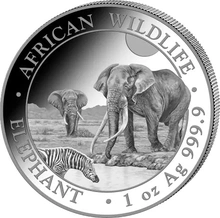 2026 1oz African Wildlife Elephant Silver Coin