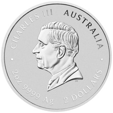 2025 Year of the Snake Silver Coin 2oz Perth Mint Australian Lunar Series