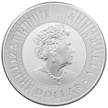2020 Australian Kangaroo Silver Coin 1oz