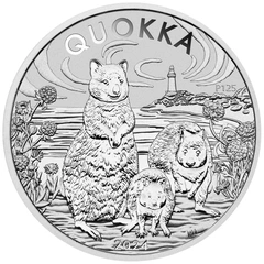 Australian Quokka