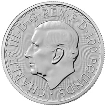 2024 Platinum Britannia Coin 1oz
