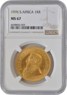 ゴールドキング 新商品】25-26 UA スポーツタオル[KINGSコート]｜琉球ゴールデン