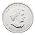 2010 1oz Canadian Maple Silver Coin