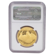 2010 Proof American Buffalo Gold Coin 1oz NGC PF70