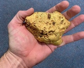 Veteran hobbyist finds 1.4kg gold nugget in Western Australia