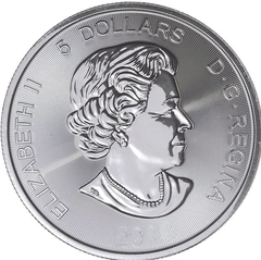 Second Hand 1oz Silver Coin Canadian Mint