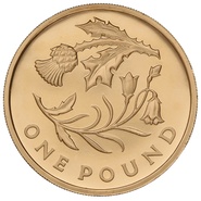 Gold Proof 2014 £1 One Pound Scotland Floral