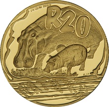 2005 1/4oz Natura Hippopotamus Gold Coin