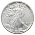 1989 1oz American Eagle Silver Coin