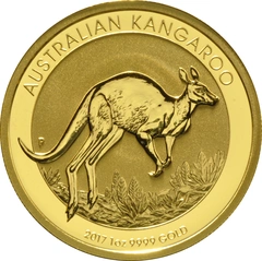 2017 1oz Australian Kangaroo Gold Nugget Coin