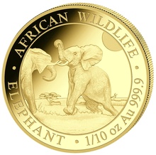 2024 1/10oz African Wildlife Elephant Gold Coin