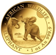 2024 1oz African Wildlife Elephant Gold Coin