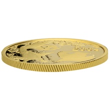 2021 15g Chinese Panda Gold Coin