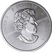 Second Hand 1oz Silver Coin Canadian Mint