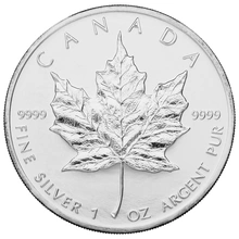 2004 Canadian Silver Maple Leaf Coin 1oz