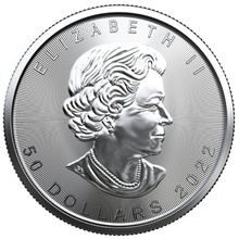 2022 1oz Canadian Maple Leaf Platinum Coin