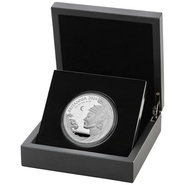 2024 Britannia 5oz Silver Proof Coin Boxed