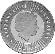 2017 Australian Kangaroo Silver Coin 1oz