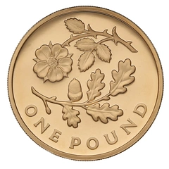 2013 Proof Gold £1 Pound Coin England Floral
