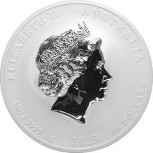 2019 Year of the Pig Silver Coin 10oz Perth Mint Australian Lunar Series