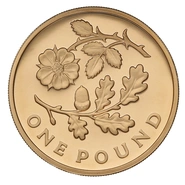 2013 Proof Gold £1 Pound Coin England Floral