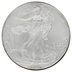 2001 1oz American Eagle Silver Coin